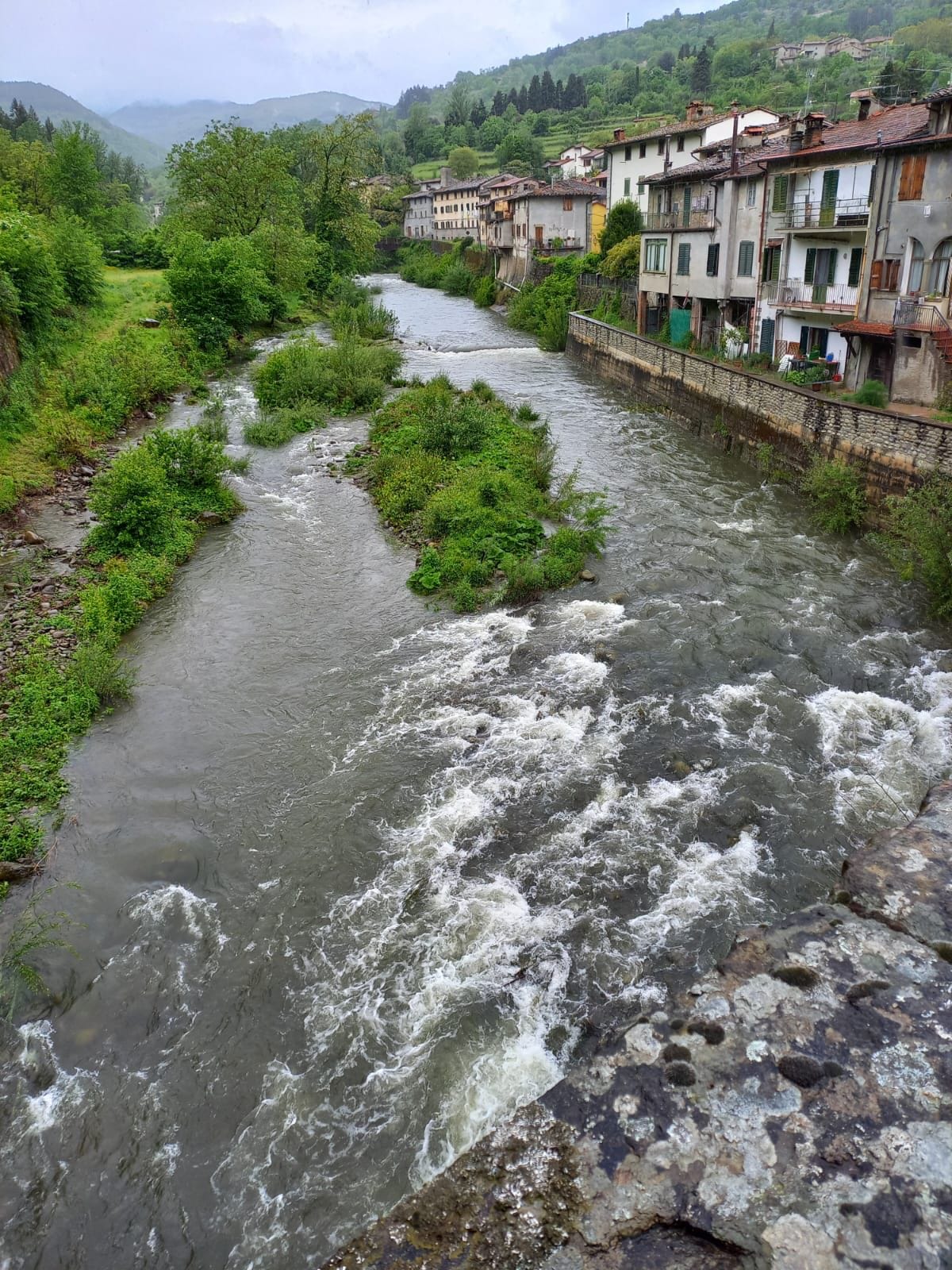 Campionato Italiano Trota Torrente 2023 – Leonardo Lucchi si conferma nel Club Azzurro